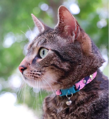 Kittyrama Botanical Fern Kitten Collar