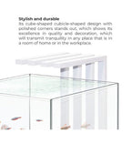 Ciano Nexus Pure 25 Aquarium