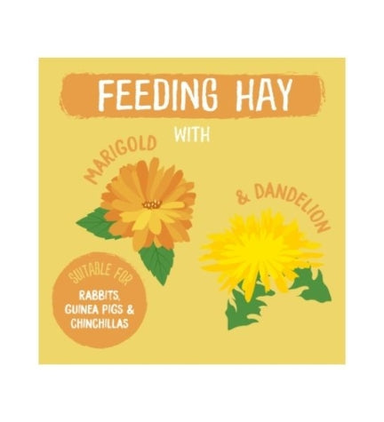 Burgess Excel Dandelion & Marigold Feeding Hay for Small Pets