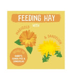 Burgess Excel Dandelion & Marigold Feeding Hay for Small Pets