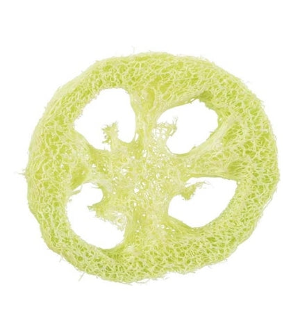 Trixie Set of Loofah Discs Small Pet Toy