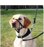 Trixie Top Trainer Headcollar for Dogs
