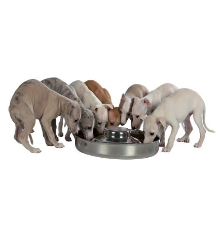Trixie Stainless Steel Bowl for Puppies