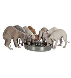 Trixie Stainless Steel Bowl for Puppies