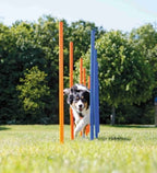 Trixie Dog Activity Agility Slalom Poles for Dogs