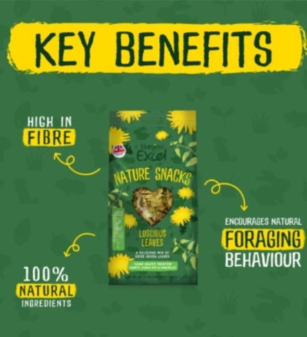 Burgess Excel Luscious Leaves Small Pet Treats 60G
