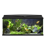 Ciano Aqua 80 Aquarium with LED Light