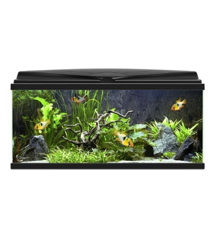 Ciano Aqua 80 Aquarium with LED Light