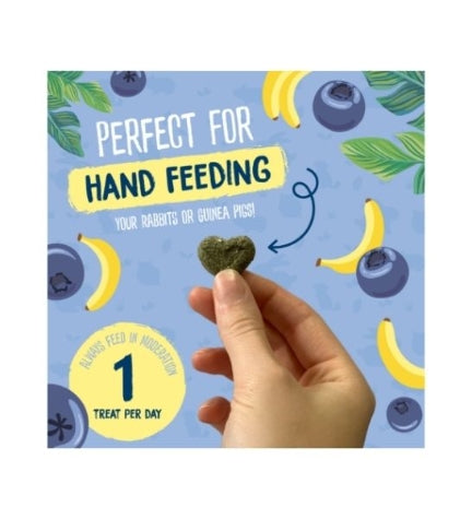 Burgess Excel Fruity Feasts Small Pet Treats 60G