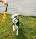 ebi Bite Me 'Crack Me Up' Stick Sensory Dog Toy