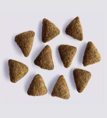 Yora Pet Foods Insect Protein Adult Dry Dog Food