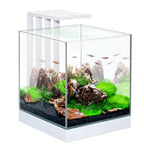 Ciano Nexus Pure 25 Aquarium