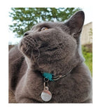 Kittyrama Havana Cat Collar