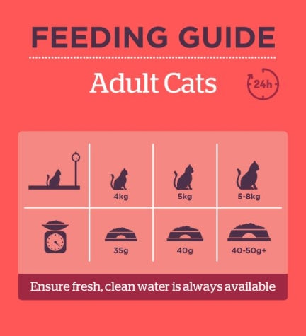 Burgess Mature Turkey & Cranberry Dry Cat Food