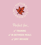 Lily's Kitchen Chicken and Salmon Nibbles Puppy Treats 70G