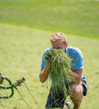 Samerberger Alpine Hay for Small Pets