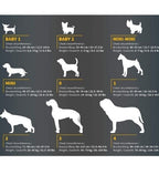 Julius-K9 Power Harness for Dogs