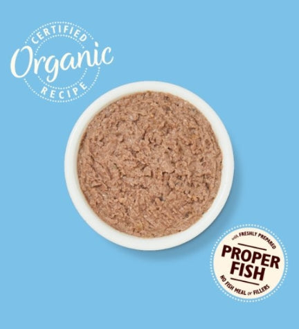 Lily's Kitchen Organic Fish Pate Wet Cat Food 85G