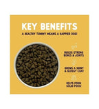 Burgess Sensitive Adult Turkey Dry Dog Food