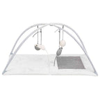 Trixie Junior Scratching Mat with Arch for Cats