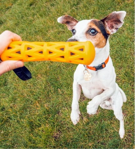 ebi Bite Me 'Crack Me Up' Stick Sensory Dog Toy