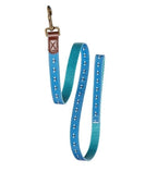 Danish Design FatFace Spotty Bees Dog Lead