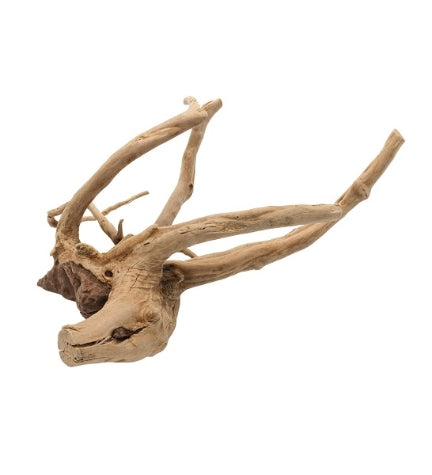 Aqua D'Ella Pulido Small Driftwood for Aquarium