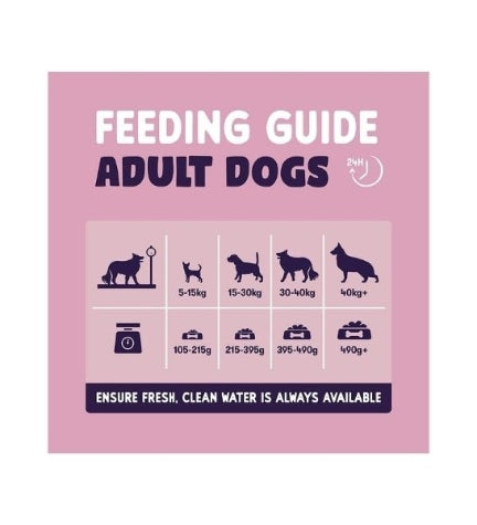 Burgess Sensitive Adult Salmon Dry Dog Food