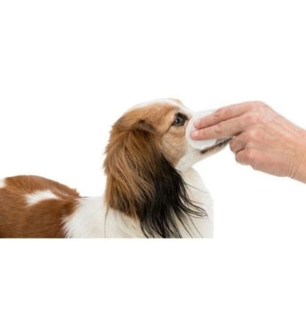 Trixie Eye Care Wipes for Pets