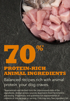 Acana Large Breed Puppy Dry Protein-Rich Grain-Free Dog Food 11.4KG