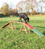 Trixie Dog Activity Agility Dogwalk Bridge for Dogs