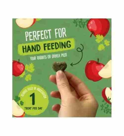 Burgess Excel Herby Hearts Small Pet Treats 60G