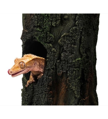 Terra D'Ella Gecko Tree