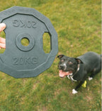 ebi Bite Me 'For the Gainz' Barbell Dog Toy