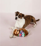 PetShop by Fringe Studio Hangin Around Summer Sloth Plush Dog Toy