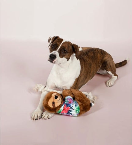 PetShop by Fringe Studio Hangin Around Summer Sloth Plush Dog Toy