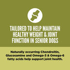 Orijen Senior Protein-Rich Dog Dry Food