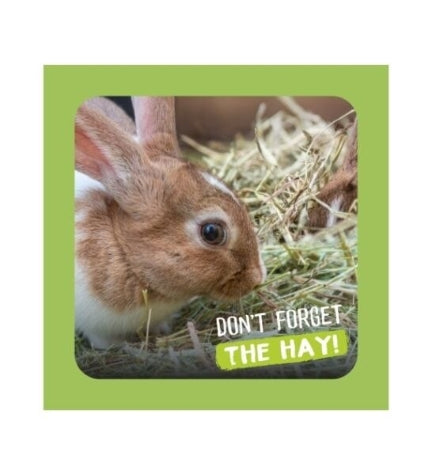 Burgess Excel Fresh Forage Feeding Hay for Small Pets