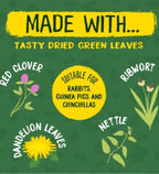 Burgess Excel Luscious Leaves Small Pet Treats 60G