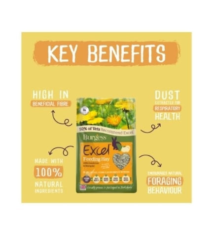 Burgess Excel Dandelion & Marigold Feeding Hay for Small Pets