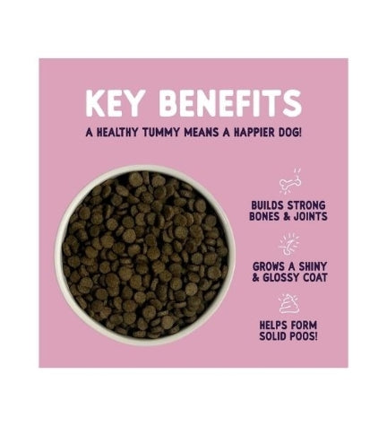 Burgess Sensitive Adult Salmon Dry Dog Food