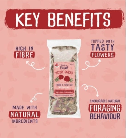 Burgess Excel Forage & Feast Hay Bar Rose Small Pet Treats 60G