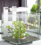 Ciano Nexus Pure 15 Cube Aquarium