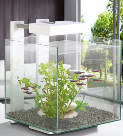 Ciano Nexus Pure 15 Cube Aquarium