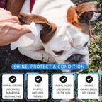 Thunder Paws Baby Powder Sanitary Pet Wipes Suitable for Cats and Dogs