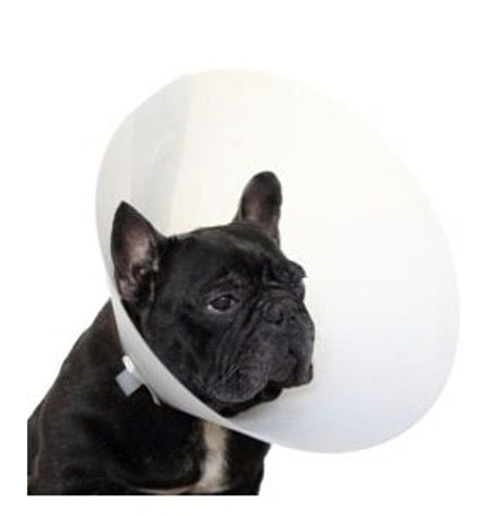 Trixie Protective Collar for Dogs — 20x38-44cm