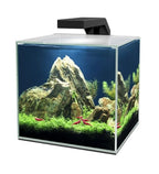 Ciano Cube 10 LED Aquarium