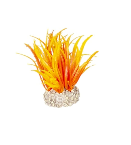 Aqua D'Ella Artificial Hair Grass Plant