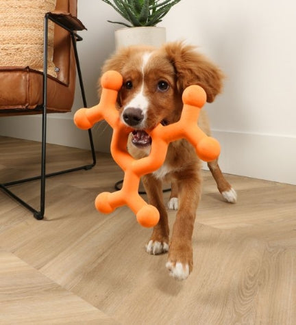 ebi Bite Me Dawg Science Floatable Dog Toy
