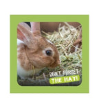 Burgess Excel Long Stem Feeding Hay for Small Pets